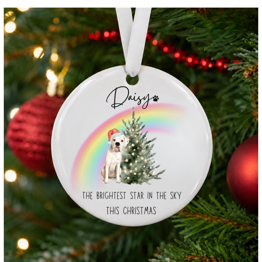 Brightest star in the sky pet ornament.