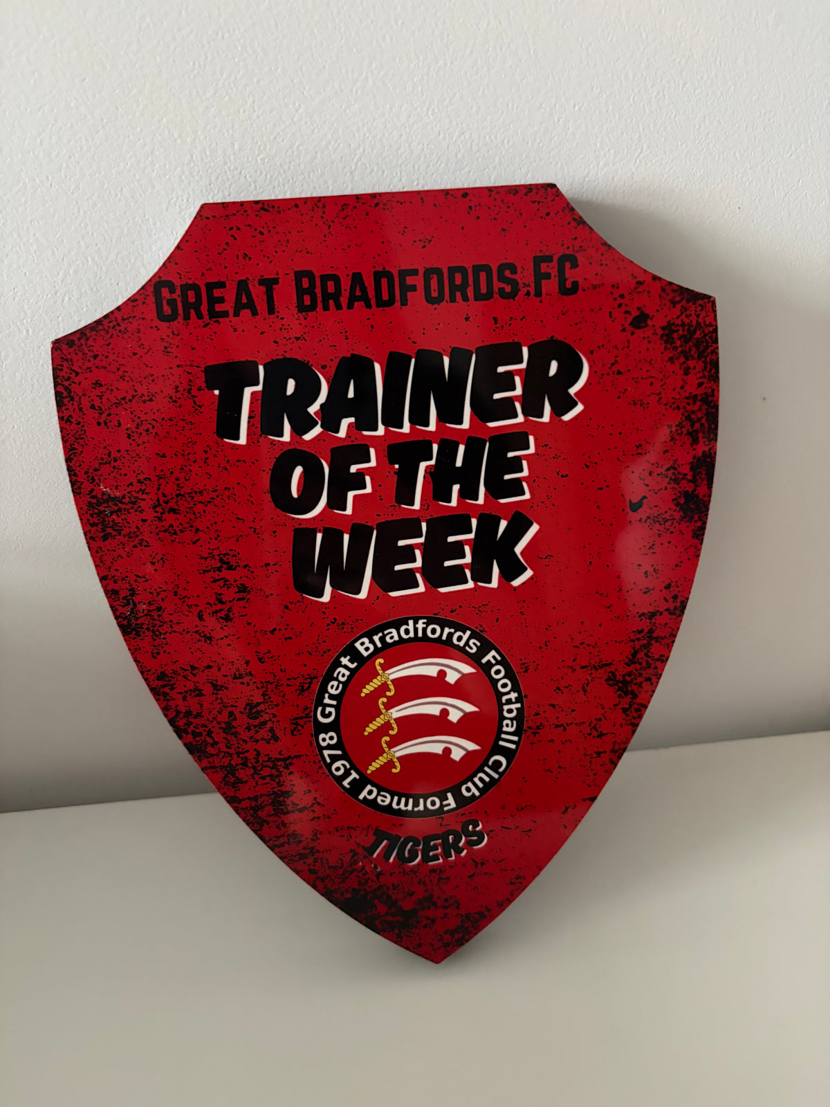Personalised Player of the Match Shield
